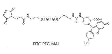 熒光素-聚乙二醇-馬來酰亞胺 熒光標記 FITC-PEG-MAL