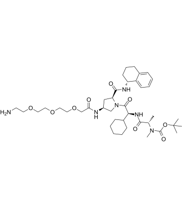 2415256-19-6	A 410099.1 amide-PEG3-amine-Boc PROTAC(蛋白降解靶向嵌合體)