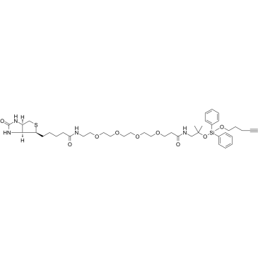 2241685-22-1	Biotin-PEG4-amino-t-Bu-DADPS-C3-alykne PROTAC(蛋白降解靶向嵌合體)