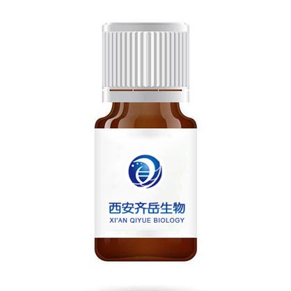 TCO修飾白蛋白