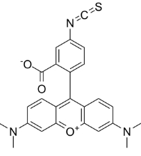 四甲基羅丹明-5-異硫氰酸單一化合物/CAS:80724-19-2