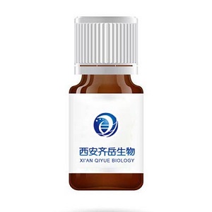ICG-MTX，ICG-甲氨蝶呤，ICG-Methotrexate，吲哚菁綠標(biāo)記甲氨蝶呤