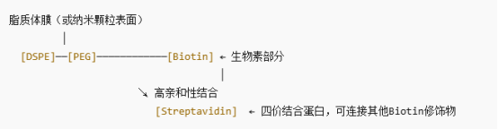 分子結(jié)構(gòu)圖解