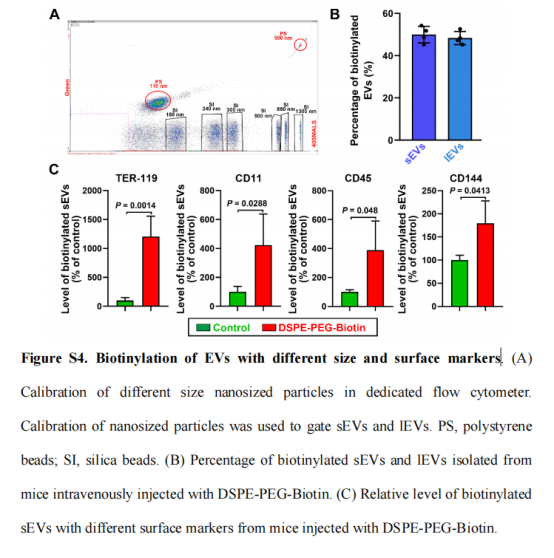DSPE-PEG-Biotin結(jié)合親和素分子制備脂質(zhì)體用于超聲研究