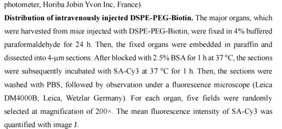 DSPE-PEG-Biotin結(jié)合親和素分子制備脂質(zhì)體用于超聲研究