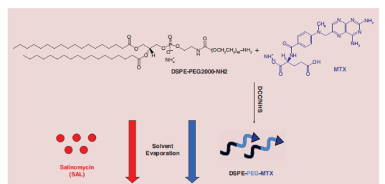 DSPE-PEG2000-NH2和甲氨蝶呤的羧基發(fā)生酰胺化反應(yīng)的實驗使用方法
