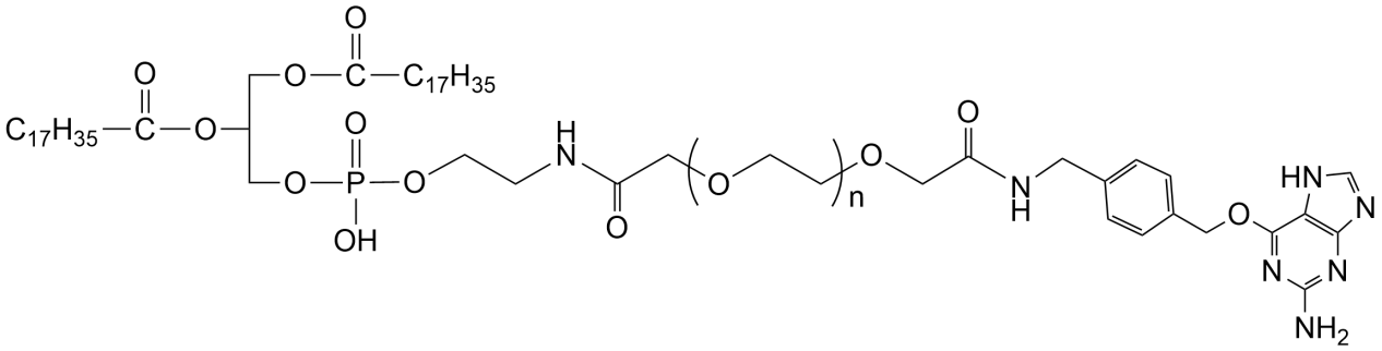 DSPE-PEG-Benzylguanine芐基鳥嘌呤修飾PEG脂質(zhì)