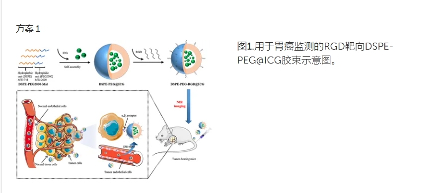 DSPE-PEG-RGD