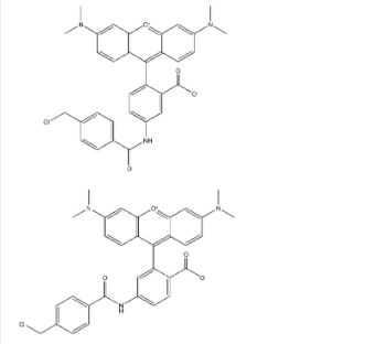 CYTOTRACE橙色熒光示蹤探針CMTMR 