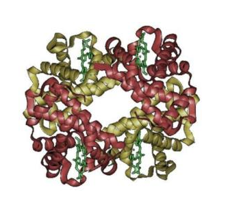 CY3標記轉(zhuǎn)鐵蛋白 Transferrin-Cy3 Conjugate Cy3標記人轉(zhuǎn)鐵蛋白的應用以及相關產(chǎn)品