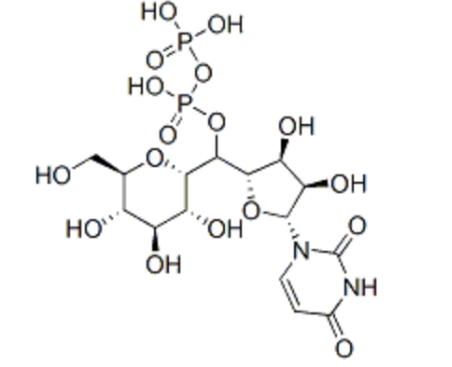UDP-葡萄糖，cas:133-89-1, UDP glucuronic acid, UDP-glucose, 一種核苷酸糖