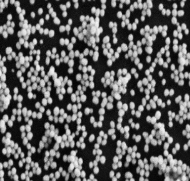 羧基化金納米粒 50nm左右 COOH-Gold Nanoparticle/Au nanoparticles 尺寸可定制