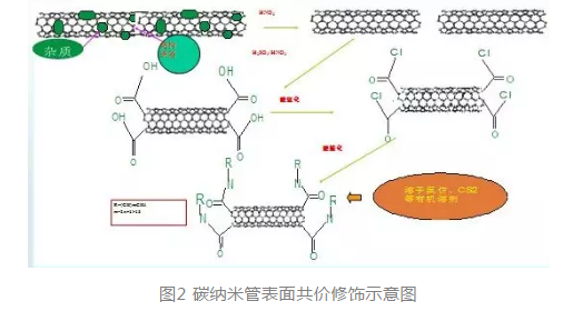 提供碳納米管的功能化修飾（功能性基團、蛋白、多肽、多糖）定制技術