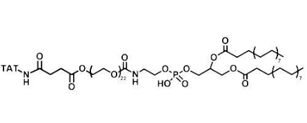 DSPE-PEG-TAT，磷脂-聚乙二醇-靶向穿膜肽TAT，TAT-PEG-DSPE的結(jié)構(gòu)式以及分子量