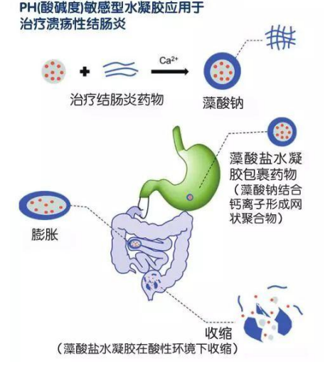 幫助你具體了解水凝膠