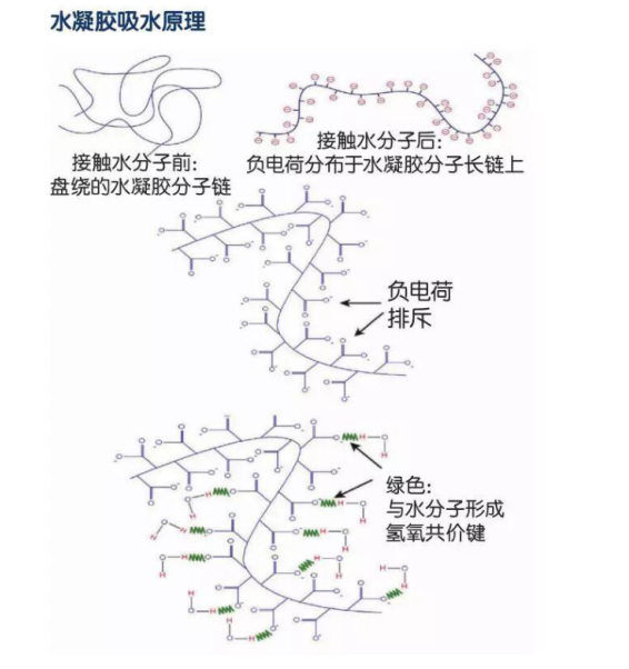 聚合物和凝膠的區別，水凝膠的吸水原理