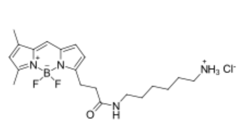 BDP FL amine,cas2183473-03-0,BODIPY類氟化硼二吡咯類熒光染料的激發波長
