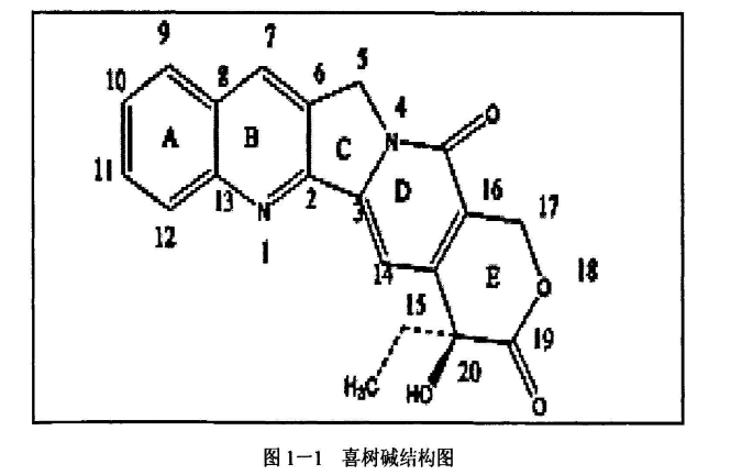 聚輪烷—喜樹堿偶聯(lián)物（PR-CPT前體）給藥系統(tǒng)的定制合成-西安齊岳生物提供