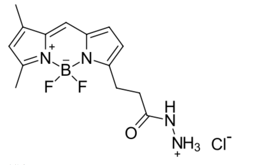 BDP R6G hydrazide|一種硼二吡咯亞甲基染料|bodipy熒光染料激發波長