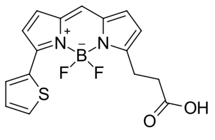 BDP 558/568 carboxylic acid|cas150173-72-1|-COOH羧基功能化修飾bodipy熒光染料