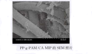 提供PP纖維接枝非印跡聚丙烯酰胺/海藻酸鈣水凝膠(PP-g-PAM/CA NIP)的制備過程和SEM圖片