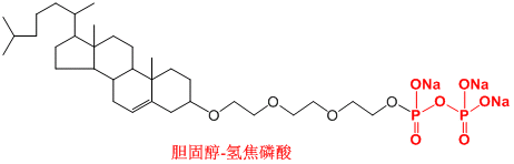 骨靶向修飾（氫焦磷酸修飾/小分子磷酸修飾）各種納米載體材料