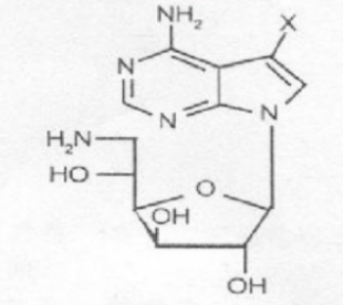 ?常見多種單糖及其衍生物的化學修飾位點（定制合成）
