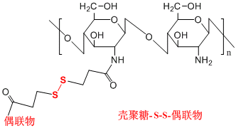 糖類二硫鍵偶聯物定制產品（透明質酸/葡聚糖/殼聚糖-S-S-偶聯物）