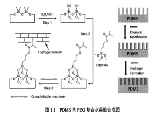 PDMS基PEG復合水凝膠合成圖，如何增加PDMS親水性、減少非特異性蛋白質污垢