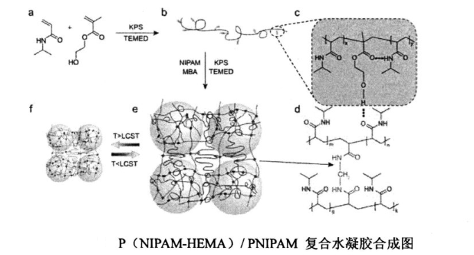 P(NIPAM-HEMA)/PNIPAM互穿網絡復合水凝膠合成圖，與 PNIPAM凝膠比較優缺點