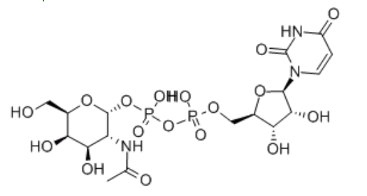 UDP糖|UDP-GALNAC，cas:7277-98-7，UDP-半乳糖二鈉鹽，UDP-GalNAc