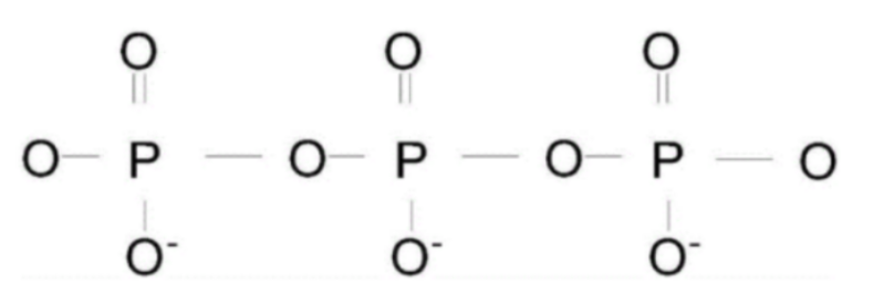 TPE-NCS；苯基乙烯熒光分子(TPE)標記羧化殼聚糖鏈(NCS)