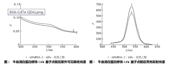牛血清白蛋白修飾水溶性碲化鎘量子點(BSA-CdTe QDs)作為熒光探針用于生物大分子的檢測|齊岳生物供應