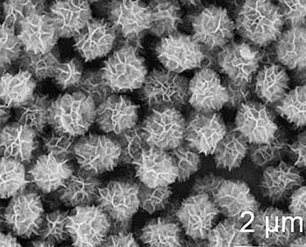 具有光熱、光聲效應(yīng)的異質(zhì)結(jié)（Au-CuInS/Au-Pt sheet可用于生物成像）