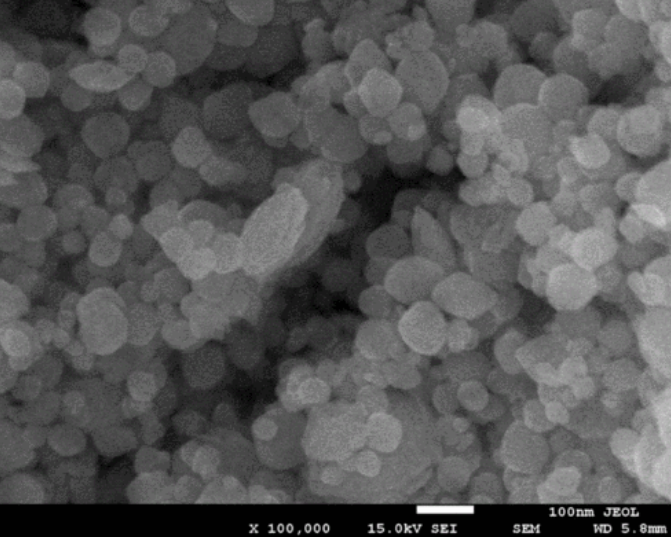 聚乙烯亞胺修飾的四氧化三鐵磁性納米顆粒(PEI@Fe3O4) | PEI coating Fe3O4 nanoparticles（10nm/150nm）