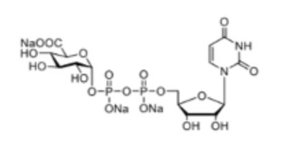 UDP-GlcA， CAS:63700-19-6，尿苷5'-二磷酸葡萄糖醛酸三鈉，Uridine 5'-diphosphoglucuronic Acid Trisodium