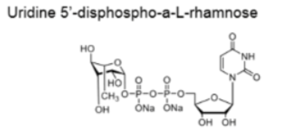 UDP糖| CAS:1526988-33-9;UDP-L-Rha;尿苷5′-二磷酸-a-L-鼠李糖二鈉鹽；UDP-鼠李糖