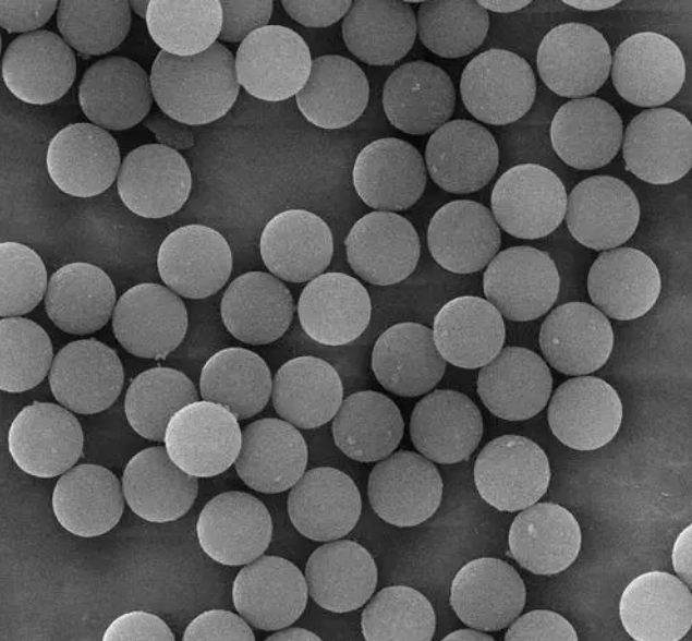 鏈霉親和素標記的四氧化三鐵磁珠  SA-Biotin Modified Fe3O4 Microspheres