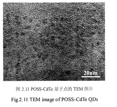 OM-POSS修飾的高生物相容性碲化鎘熒光量子點(diǎn)(POSS-CdTe QDs)具有良好的光穩(wěn)定性齊岳生物供應(yīng)
