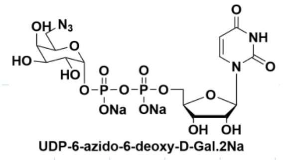 UDP糖| UDP-6-N3-Galactose, cas: 868141-12-2, UDP-6-疊氮-6-脫氧-D-半乳糖二鈉鹽