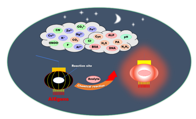 齊岳生物| 聚集誘導發光AIE探針分子在生物大分子檢測中的應用（aggregation-induced emission, AIE）
