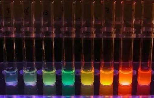 FITC-HRP，熒光素標記過氧化氫酶，FITC-Catalase