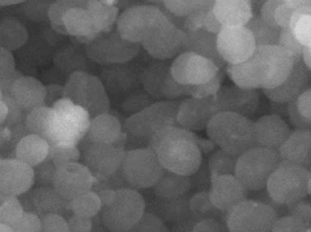 USPIO 超順磁性氧化鐵納米顆粒， Fe3O4 Magnetic nanoparticles 定制合成