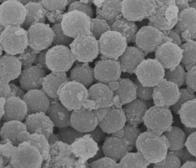 PEG包裹納米金，Gold Nanoparticles PEG（表面修飾活性基團）定制合成