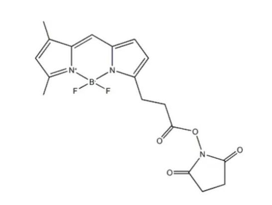 BODIPY 581/591 C11(脂質(zhì)過氧化傳感器) BDP FL NHS ester CAS:146616-66-2