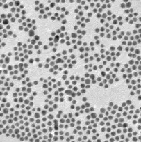 PEG-MAL coating Fe3O4 nanoparticles，50nm/PEG-MAL包覆Fe3O4納米粒子，50nm