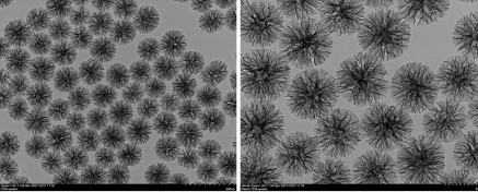 樹枝狀介孔二氧化硅  Dendritic Mesoporous Silica Microspheres