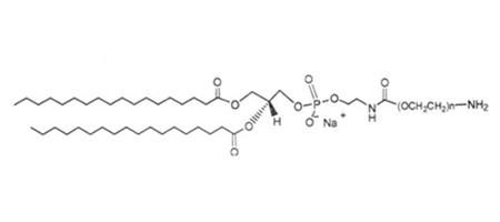 膽固醇-PEG2000-NH2 Cholesterol-PEG-Amine  膽固醇-聚乙二醇-氨基是一種具有良好水溶性共軛親脂性脂質PEG