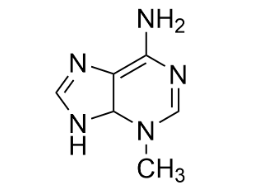 脂質體包裹3-甲基腺嘌呤 3-Methyladenine@Liposomes的應用以及相關產品