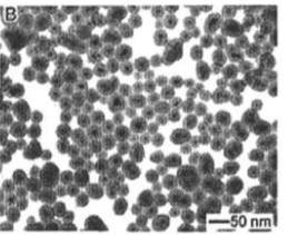 CS@Fe3O4 nanoparticles（150nm）  殼聚糖修飾四氧化三鐵納米顆粒（1500nm）